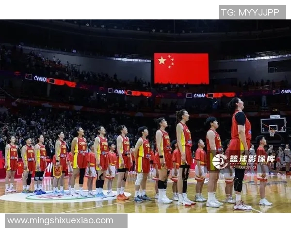 捷克对阵巴西比赛分析及大小分预测全解析